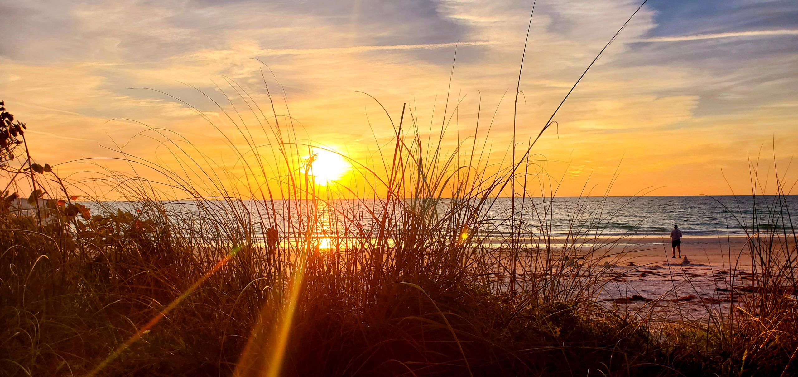 Sunset on a beach through wild grass