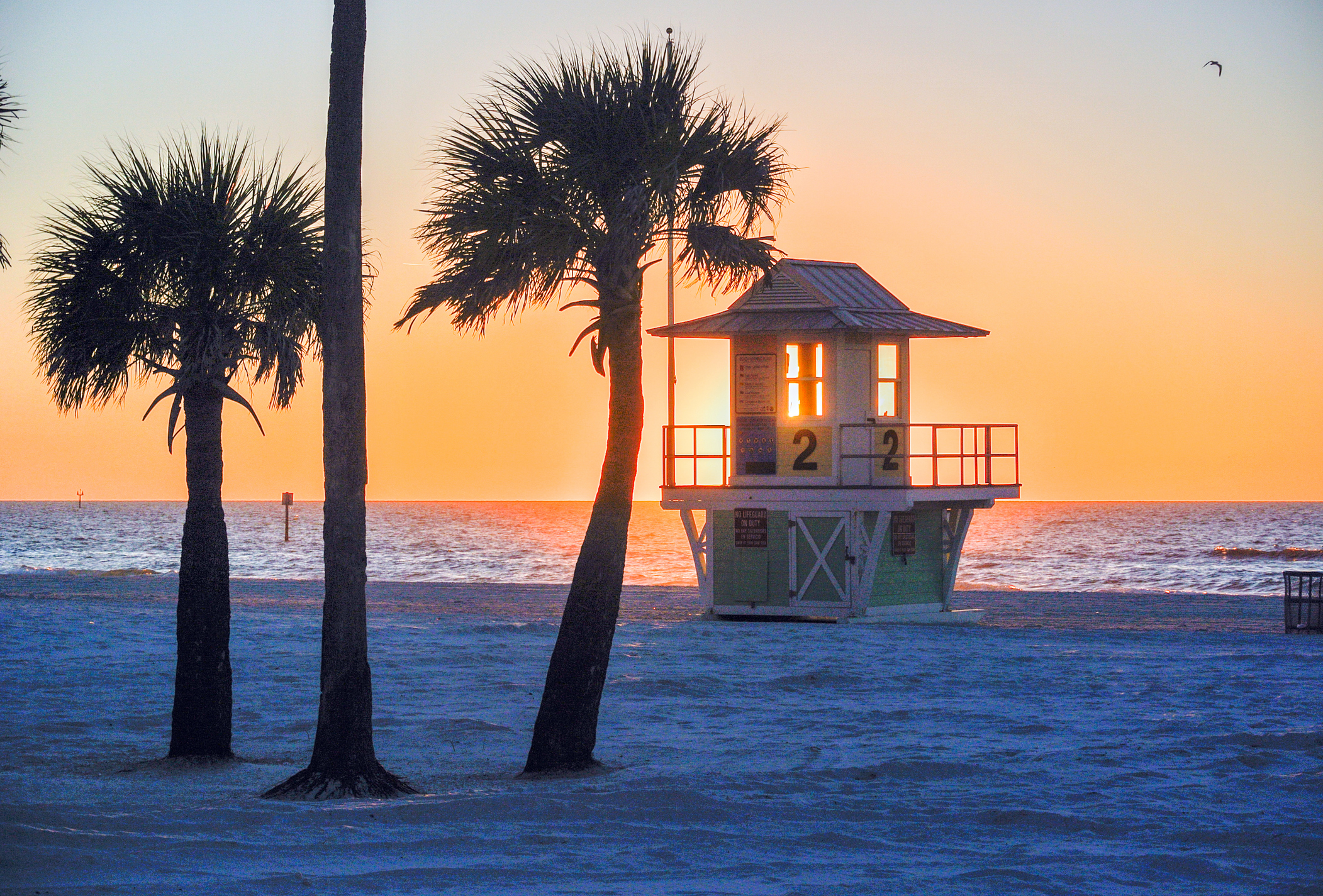 Sunset at the beach with palm trees